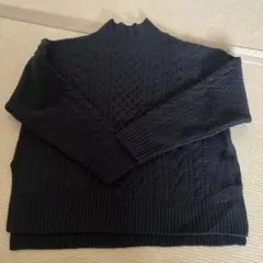 グリーンレーベルリラクシング　ハミルトンウール ケーブル ニット セーター紺