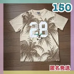 150 Disney ミッキー トップス 子供 キッズ 半袖 Tシャツ