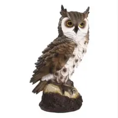 リアルフクロウの置物 H約25cm W約24.5cm - メルカリ