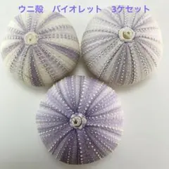 NO.68V-159 アーチン(ウニ殻) バイオレット　濃淡　3ケセット