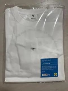 Item thumbnail for item b5e9ea89-878e-4114-8a91-dabb6bd7d0bb