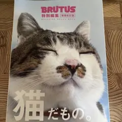 プロフィール必読です！(たけし)様 リクエスト 2点 まとめ商品