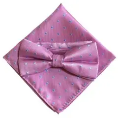 【蝶ネクタイ＆ポケットチーフセット】2点セット メンズ ピンク 水色 ドット