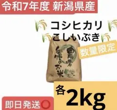 ⭐︎新鮮野菜おまけ付⭐︎令和7年度産 千葉県産こしひかり 白米5kg
