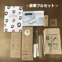 【新品】FAITHMIRACLE公式 ネイルシール 硬化タイプ UVライトセット