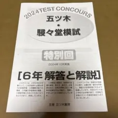 2026年最新】五ツ木駸々堂模試の人気アイテム - メルカリ