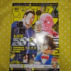 Item thumbnail for item ab97f253-18dd-4910-9ff4-eea925ed0e2c