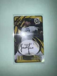 阪神タイガース　オンサイトカード第二弾　ゲラ選手　SR