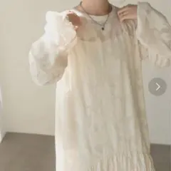 Kastane シアーワンピース フリーサイズ