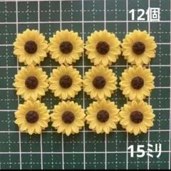 91・ヘリクリサムドライフラワー 花材 リース ハーバリウム ガーランド