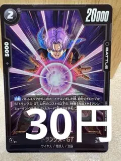 [DBFW][R][在庫1] トランクス:GT FB04-113