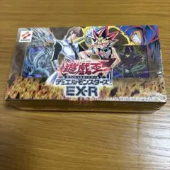 K*様 遊戯王 希少 デュエルモンスターズ OCG EX-R デッキセット V