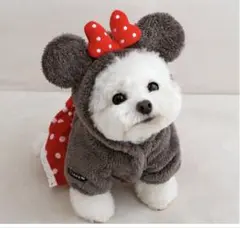 韓国で大人気『ITS DOG』ミニーマウス防寒ジャンパー　M ラスト１着