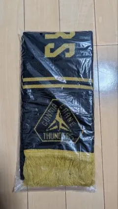 Item thumbnail for item 9b26fca0-2265-483e-80e8-eb27894fe6fb