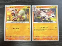 ポケカ イワンコ ルガルガン 進化ライン 2枚セット MC ポケモンカードのサムネイル