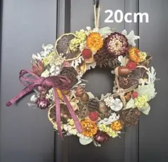木の実とドライフラワーのナチュラルリース　ハンドメイド　匿名配送のサムネイル