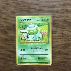 ポケモンカード  フシギダネ 【旧裏 マーク無し】