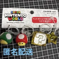 ユニバ めじるしアクセサリー チャームセット マリオ