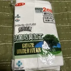 GUNZE　ブリーフ　前あき　抗菌防臭 コットン　パンツ　LLサイズ　2枚