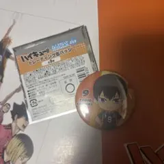 ハイキュー ファンパーク ねんどいろ トレーニング缶バッジ