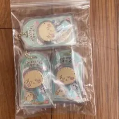 早い者勝ち　ちいかわ ミニチュアチョコチャーム ラッコ