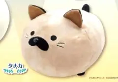 第3回 ごろねこサミット　イトウ　タナカ　クッション　ぬいぐるみ　猫　新品 イトウとタナカのクッションが2月中旬頃からクレーンゲームに登場する