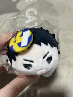 ハイキュー!! 青葉城西高校 岩泉一 もちもちマスコット