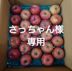 【 さっちゃん様専用】