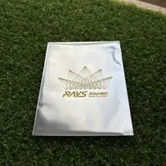 Snow Man Dome Tour 2024 RAYS チケット風カード 岩本