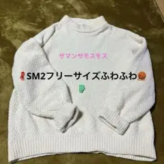 Item thumbnail for item 2f9254c6-87f6-42bf-a130-3765a7e15221