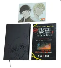 Item thumbnail for item f039ff55-2504-4573-ac72-e2aad215c44a