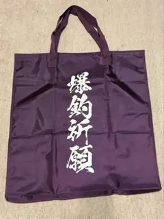 Item thumbnail for item 9af4c5c6-ddc1-4ff2-8d6c-cbde2db55b33