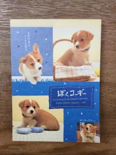2025年最新】ぼくコーギーの人気アイテム - メルカリ