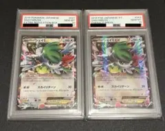 【PSA10連番】ポケモンカードゲーム シェィミEX シェィミEX RR