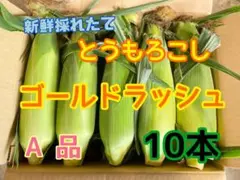 収穫日即日発送　とうもろこし10本　新鮮ゴールドラッシュ　茨城県産　タイムセールのサムネイル