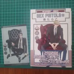 SEX PISTOLS⑫