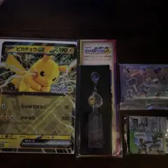 JR東日本ポケモンメガスタンプラリー2025（全コンプリート済み）