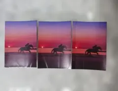馬 写真 3枚セット
