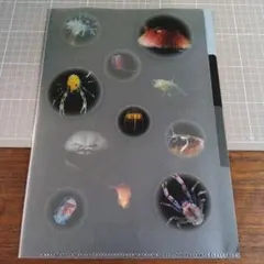 Item thumbnail for item 26786016-fd09-4f8d-bf2c-87feac9071db