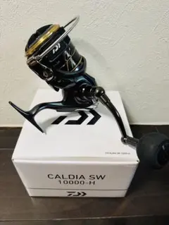 Daiwa CALDIA SW 6000S-H スピニングリール - メルカリ