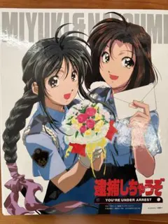 逮捕しちゃうぞ アニメシーンカード バインダー - メルカリ