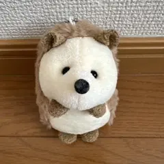 Item thumbnail for item ecc15d01-e197-4620-b967-c28e791535bc