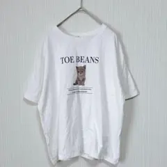 1538 コルザ 半袖Tシャツ カットソー 白 子猫 プリント L ハニーズのサムネイル