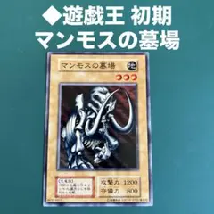 2025年最新】マンモスの墓場の人気アイテム - メルカリ