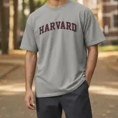 GILDAN メンズ Tシャツ グレー Lのサムネイル