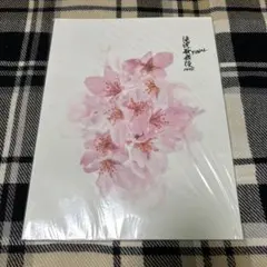 【今年度処分】滝沢歌舞伎ZERO FINAL パンフレット