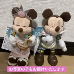 ディズニーシー 24周年　ミッキー ミニー ぬいぐるみバッジ　マーメイドラグーン