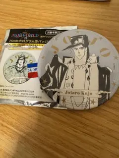 ジョジョの奇妙な冒険　ジョジョワールド　空条承太郎　ホログラム　缶バッジ