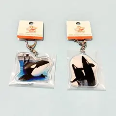 神戸須磨シーワールド限定 キティ アクリルキーホルダー②黄緑 シャチ