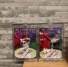 Item thumbnail for item 60a830e4-a464-4d0c-8f94-ebcfb4911966